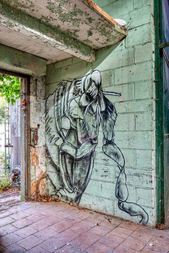 HDR graffiti streetart street-art street art skeleton factory urbex roa klaas van der linden kunst kunstwerk decay verlaten lost place places abandoned